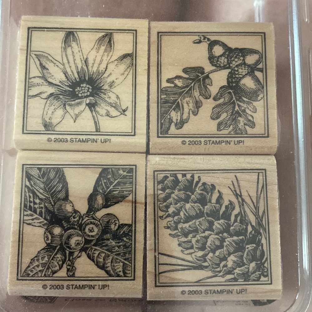 Stampin up! “Close to Nature” set